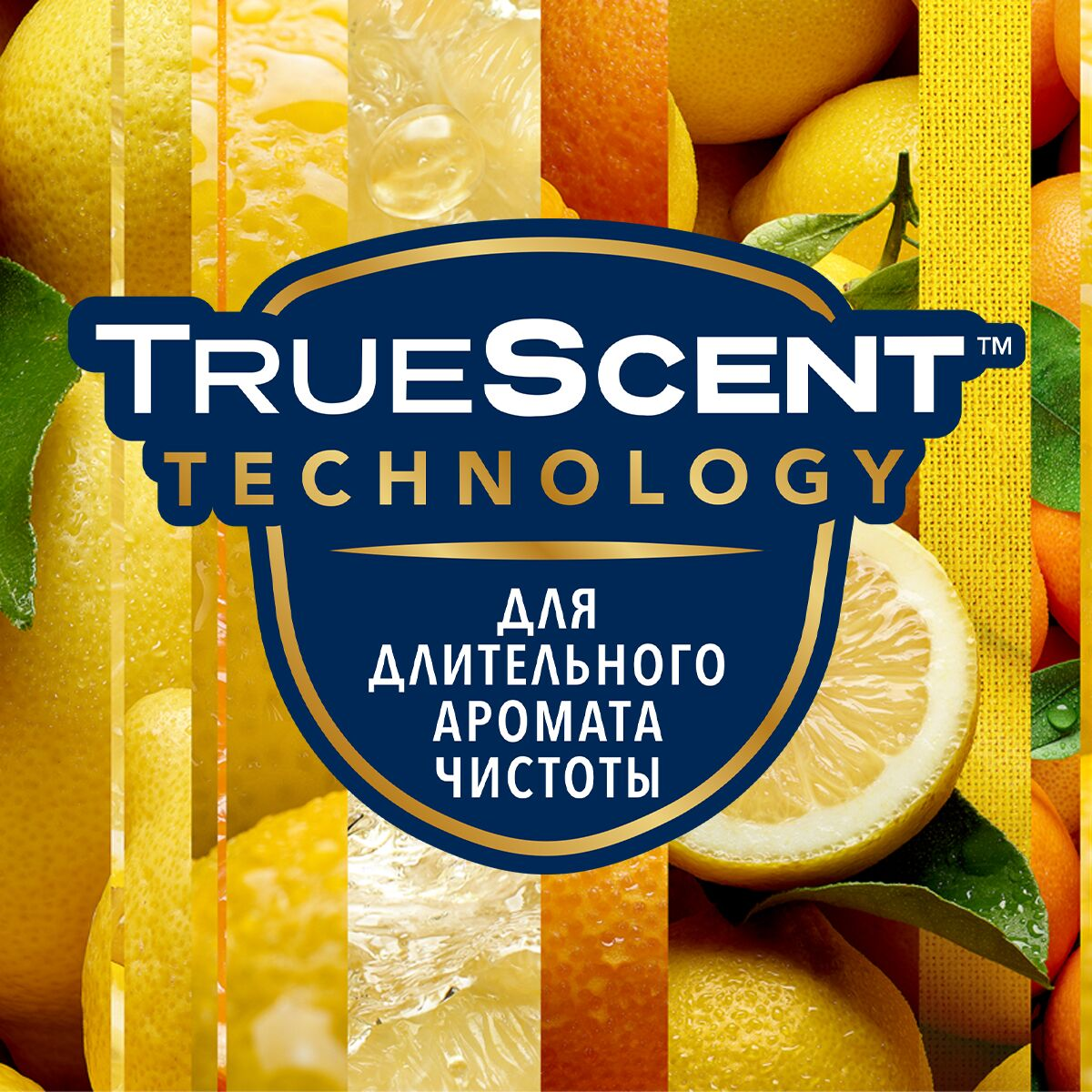 Балон сменный Glade Automatic Сицилийский лимонад-мята, 269мл