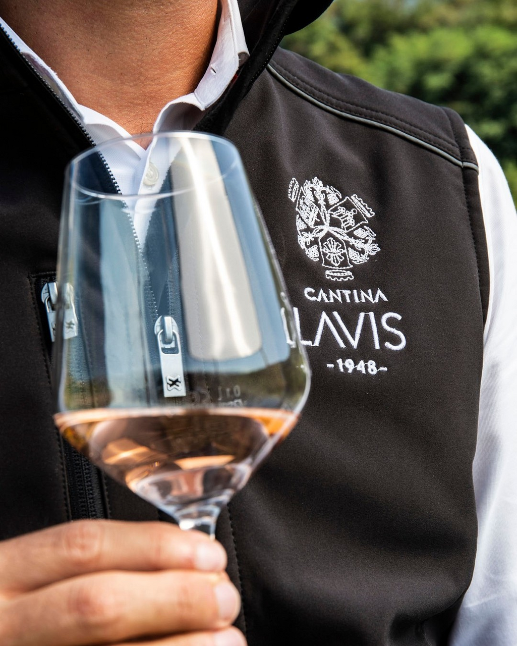 Вино Lavis Pinot Grigio Rose розовое сухое, 0.75л