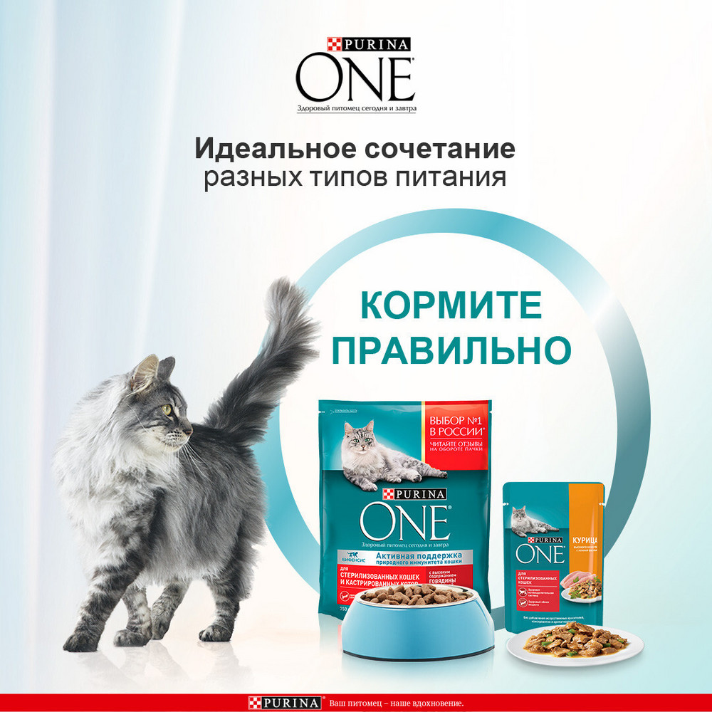 Корм влажный Purina One для стерилизованных кошек говядина, 75г