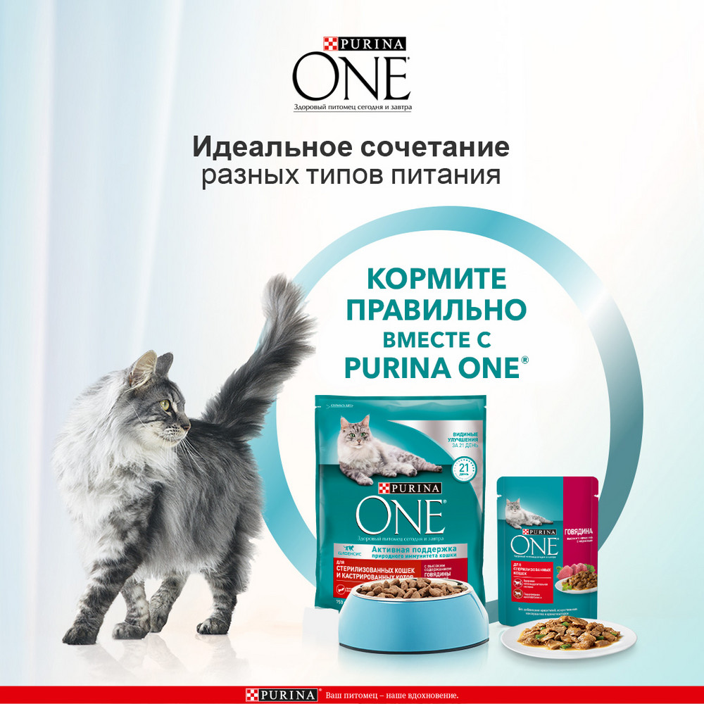 Корм сухой Purina One с говядиной и пшеницей для стерилизованных кошек и котов 3 кг Корм сухой Purina One с говядиной и пшеницей для стерилизованных кошек и котов 3 кг