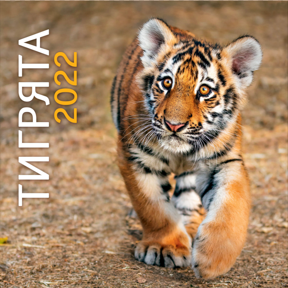 Календарь Арт Дизайн на скрепке 2