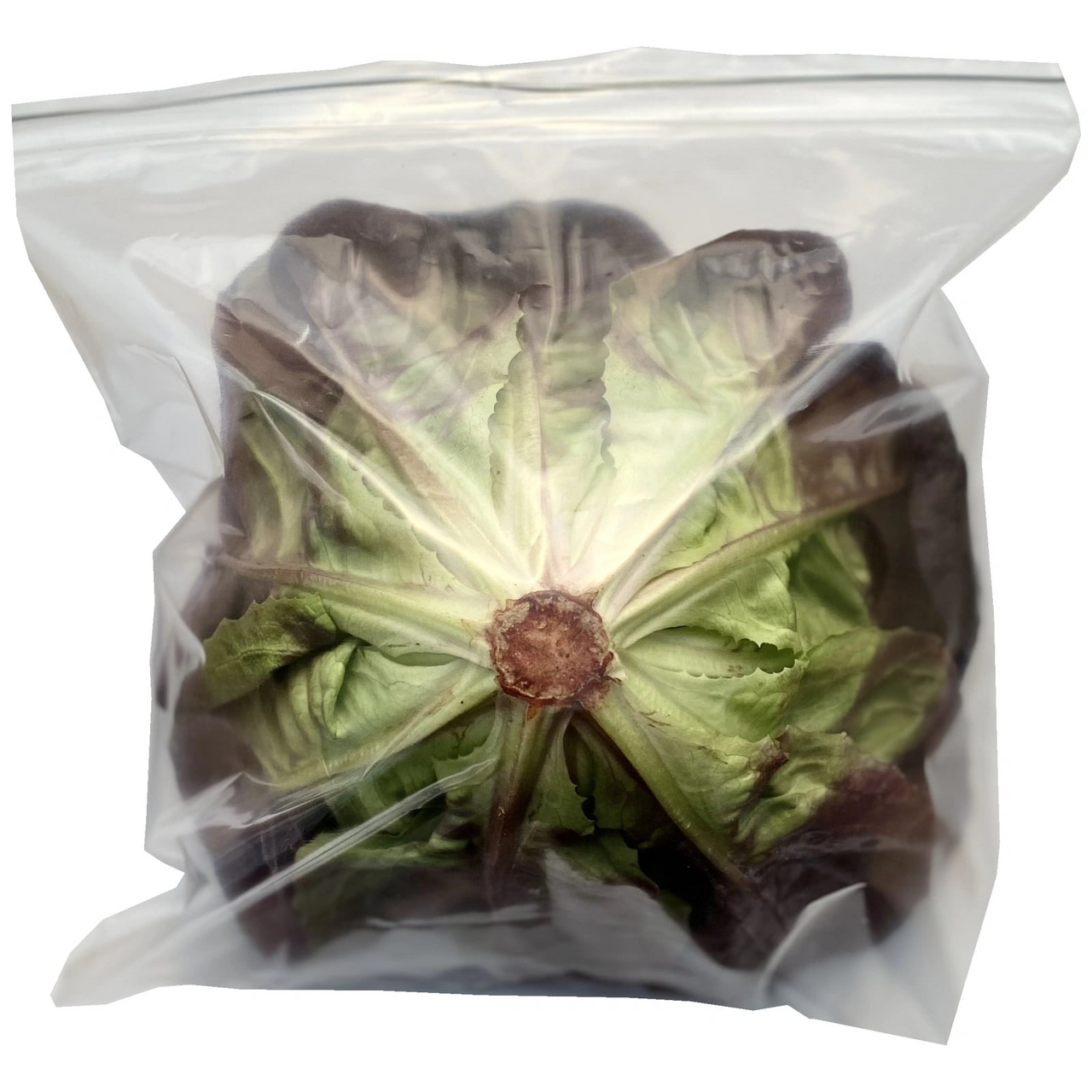 Салат красный Бостон Superfood, 150 г