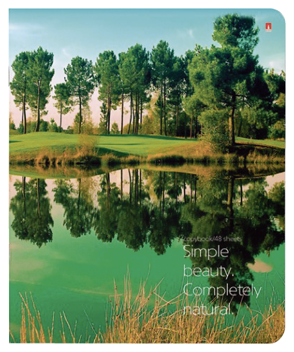 Тетрадь АЛЬТ клетка, 48 л