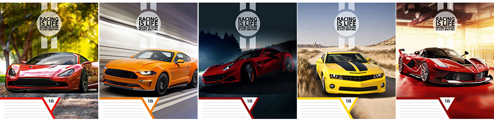 Тетрадь ACADEMY STYLE клетка 18 листов